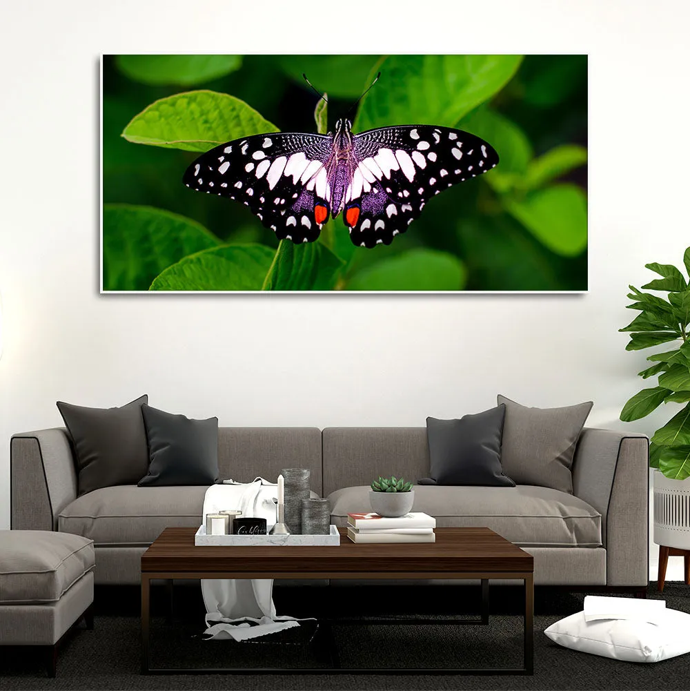 A Beautiful Butterfly on Leaf Premium Canvas Wall Painting