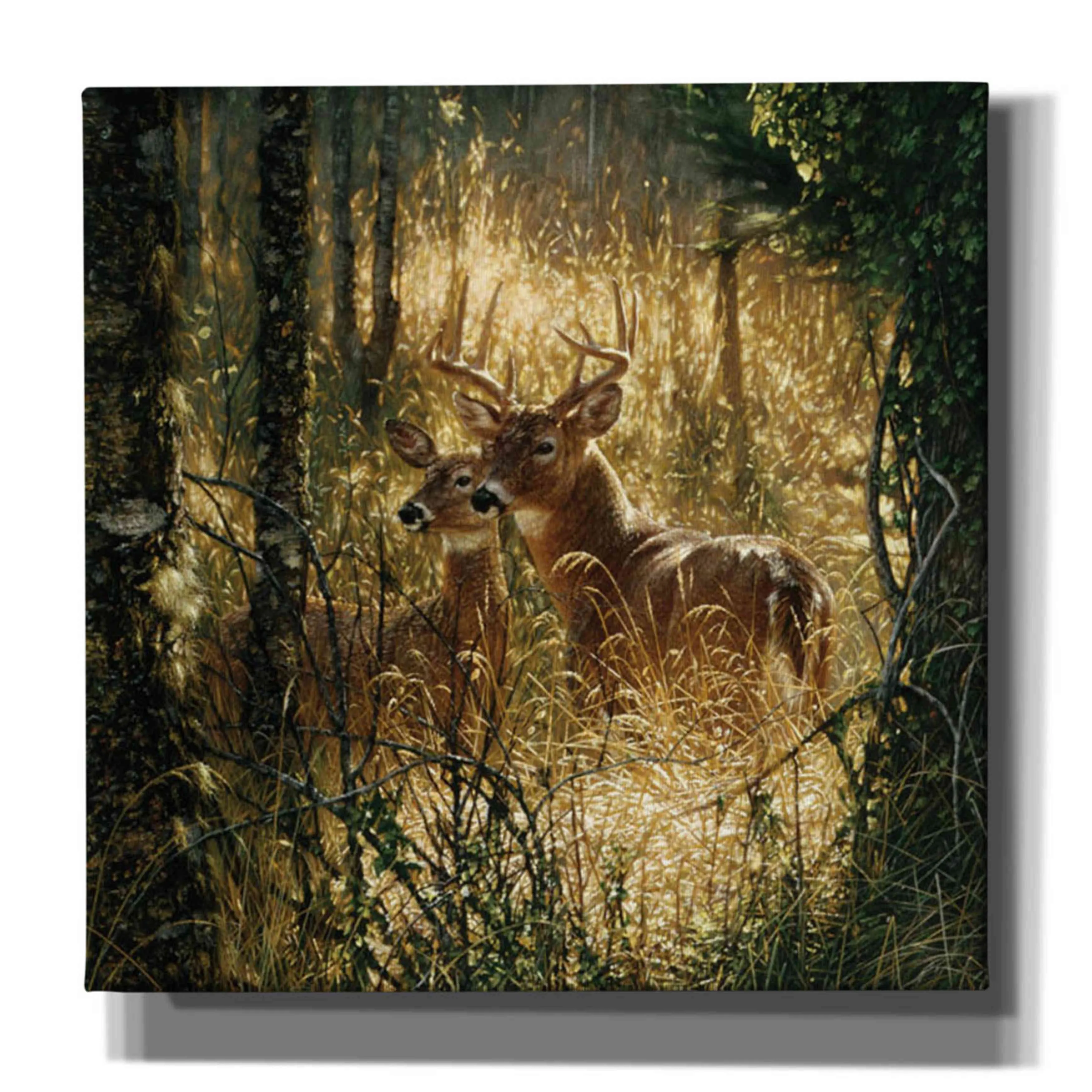 'A Golden Moment' by Collin Bogle, Canvas Wall Art