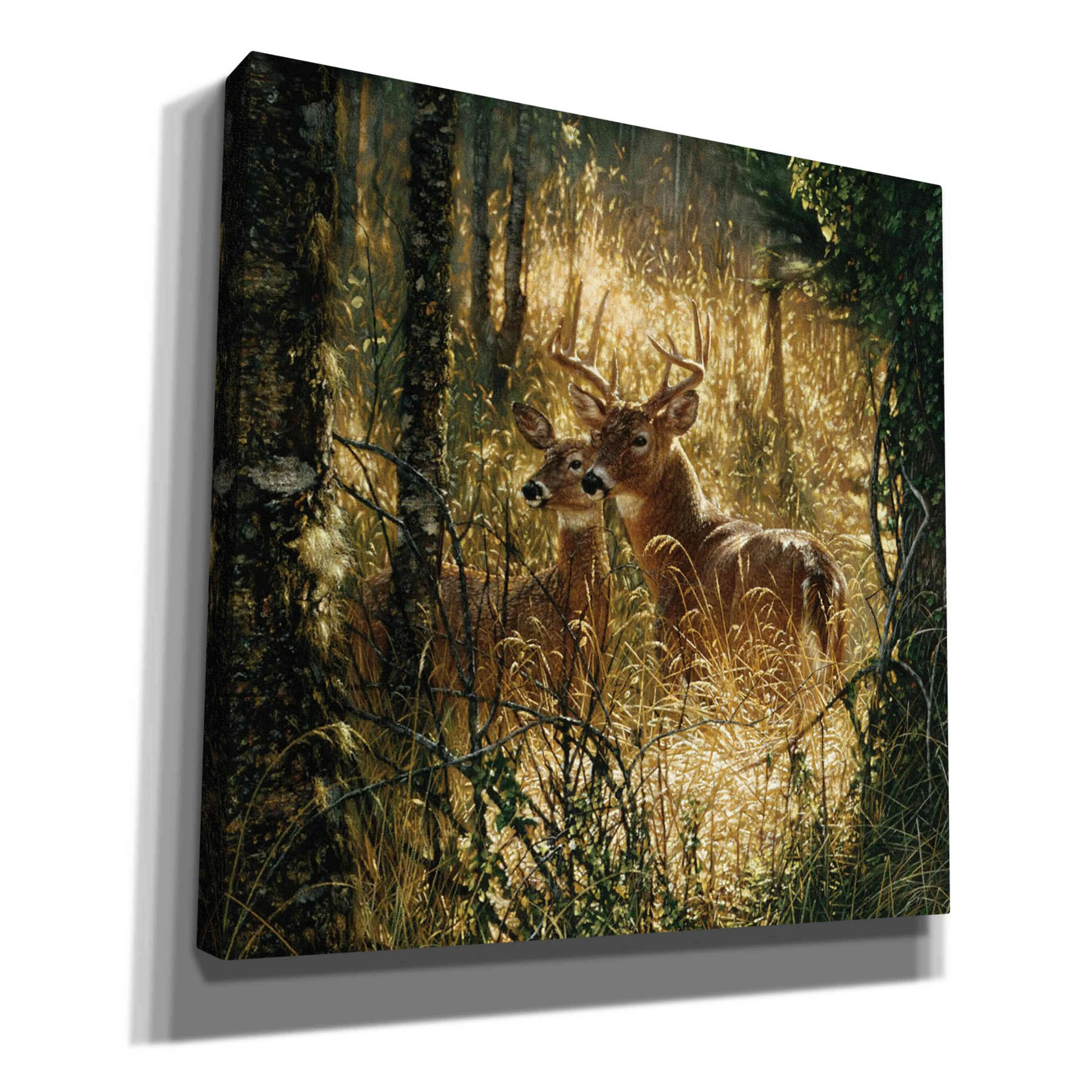 'A Golden Moment' by Collin Bogle, Canvas Wall Art