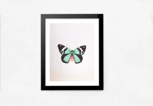 An Alluring Butterfly in Miniature Painting by Mohan Prajapati