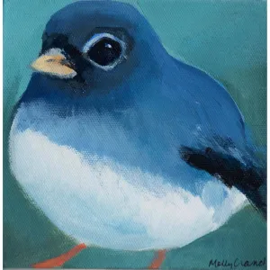 Baby Jay 6x6 OL04 Original One Of A Kind Acrylic Painting by Molly Cranch