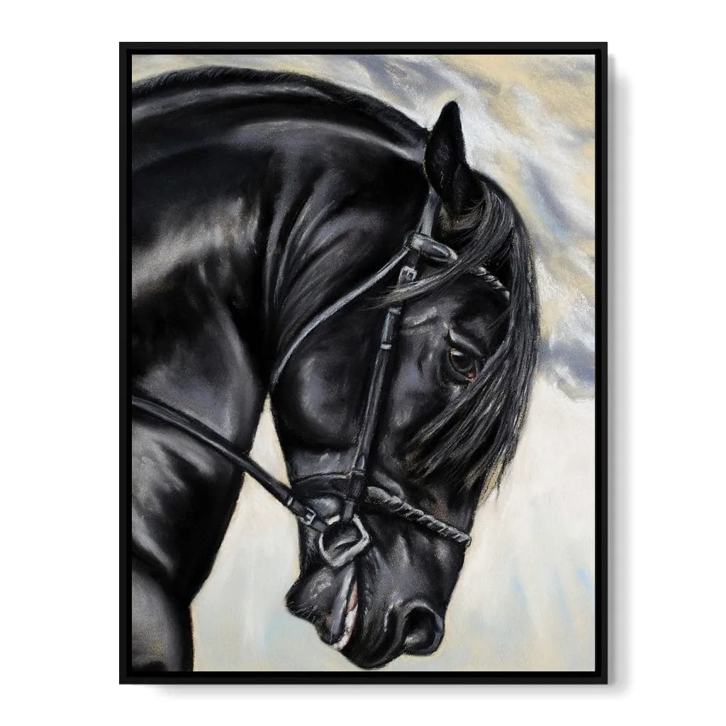 Black Friesian Horse