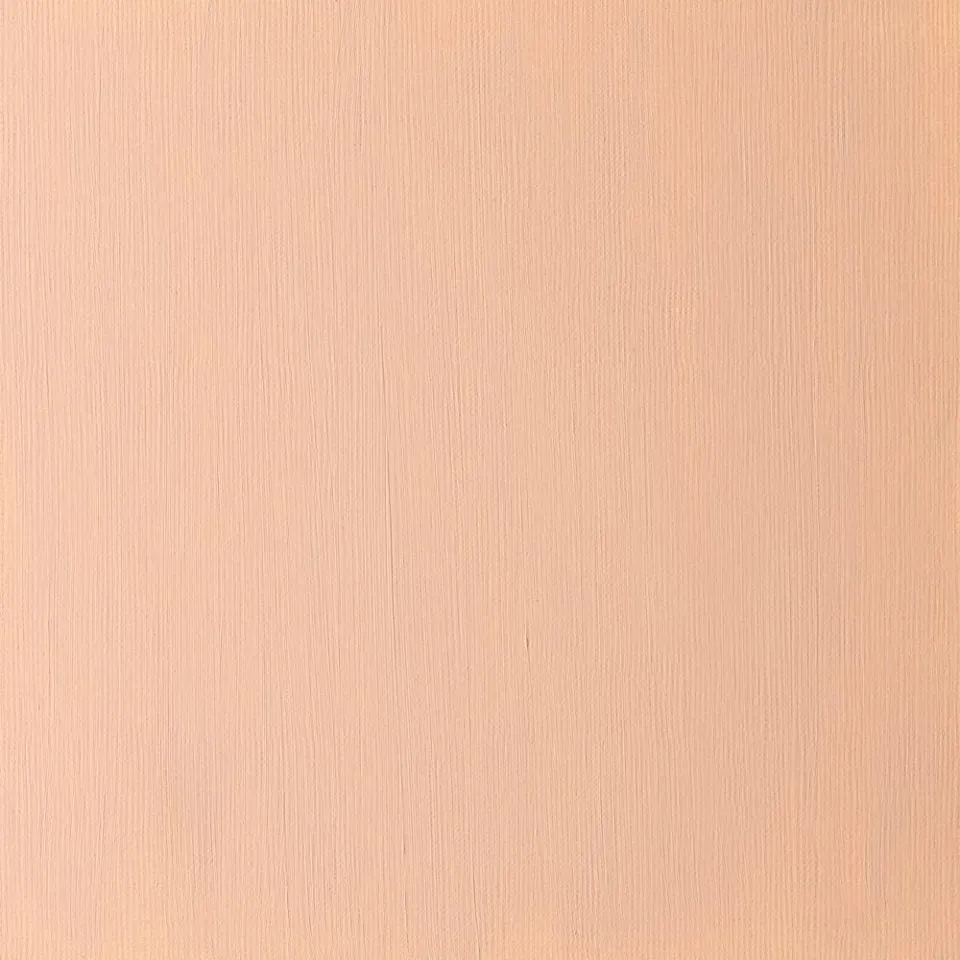 Burnt Sienna (Winsor & Newton Griffin Alkyd)