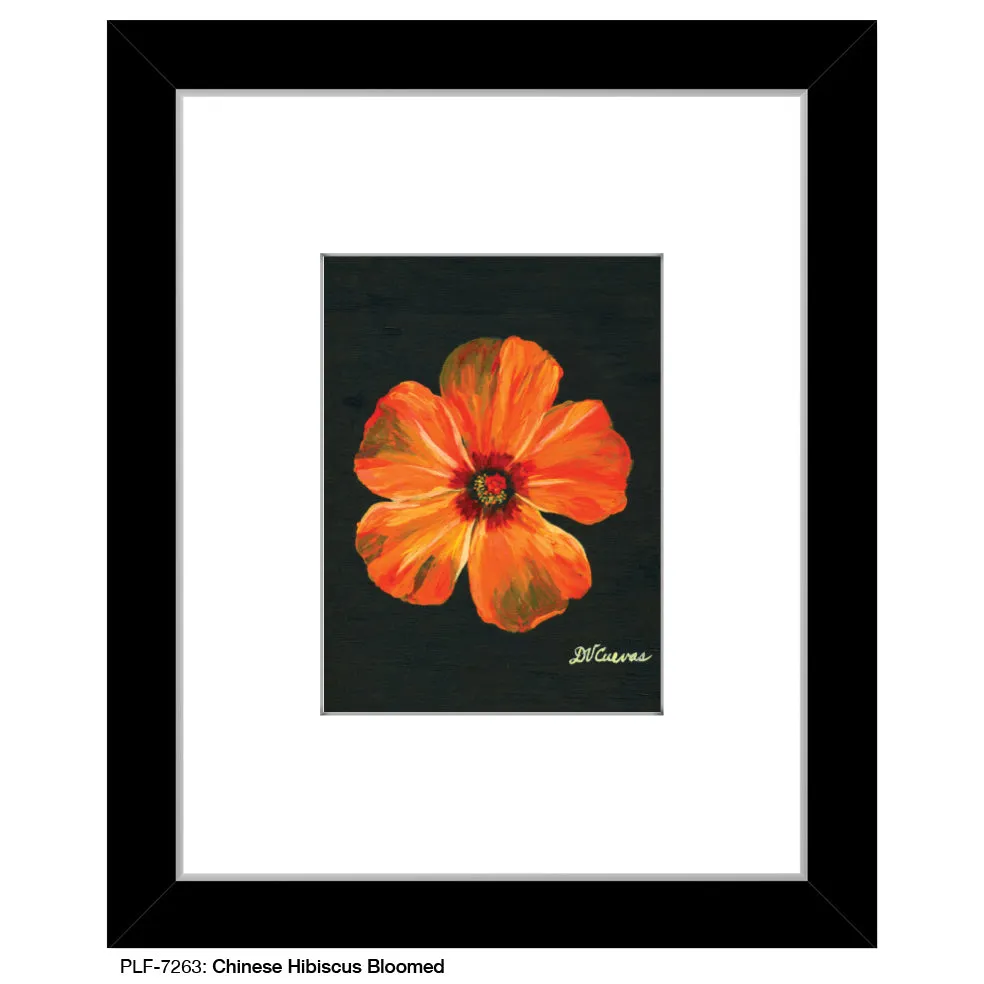 Chinese Hibiscus Bloomed, Print (#7263)