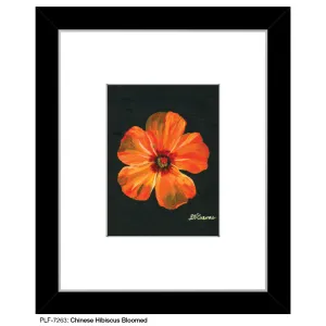 Chinese Hibiscus Bloomed, Print (#7263)