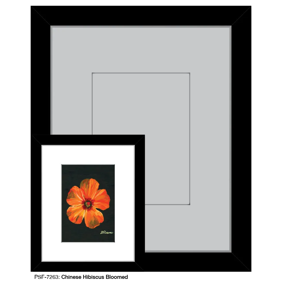 Chinese Hibiscus Bloomed, Print (#7263)