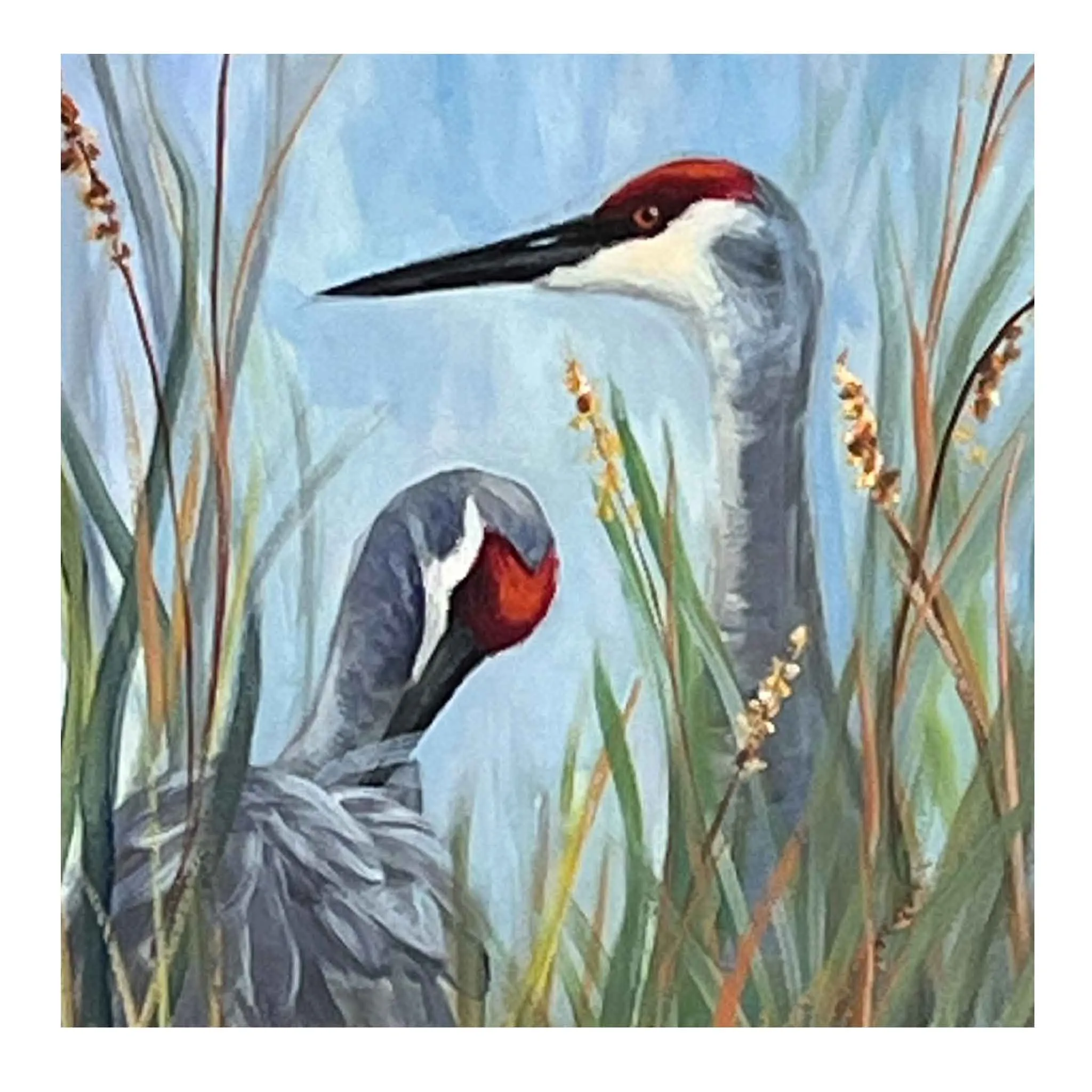 ECF Sandhill Cranes Original Oil Painting