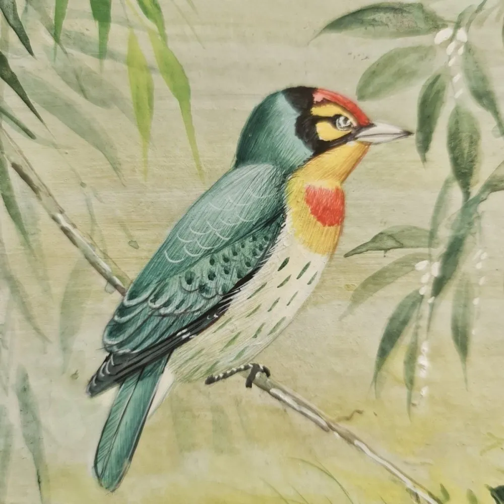 Indian Miniature Painting of a Perched Bird