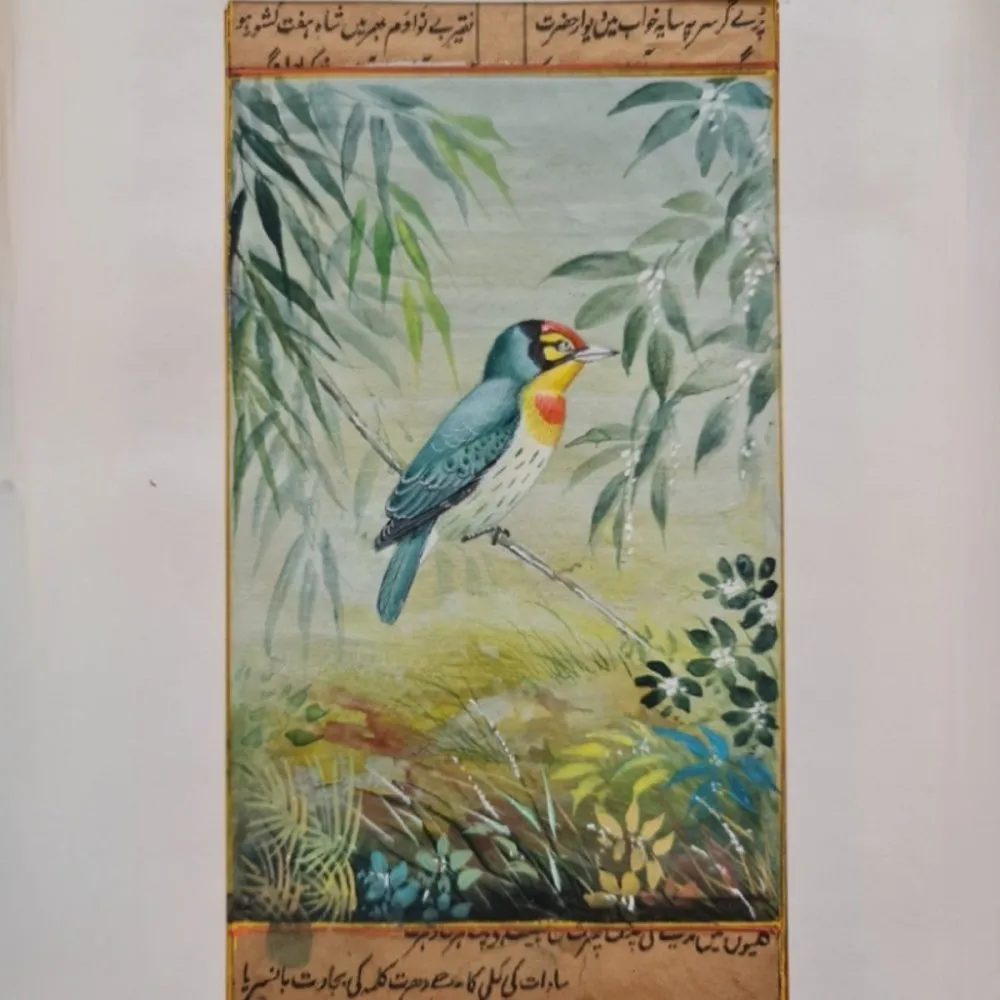 Indian Miniature Painting of a Perched Bird