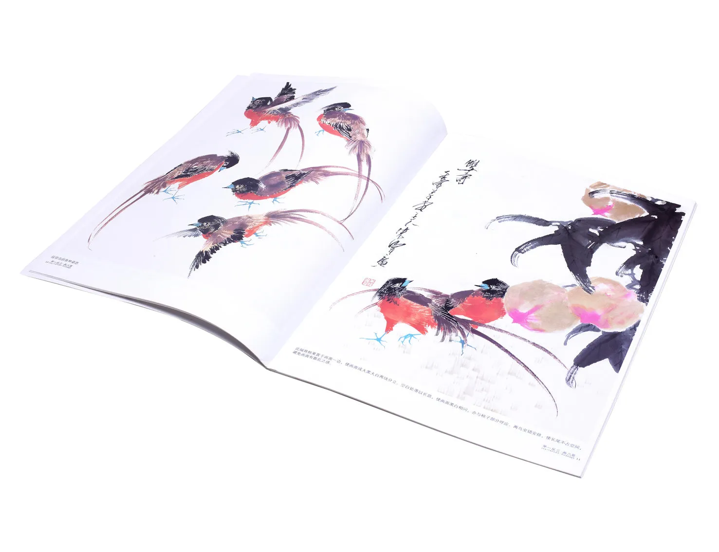 Inference Painting - Myna Bird l Chinese Painting Book