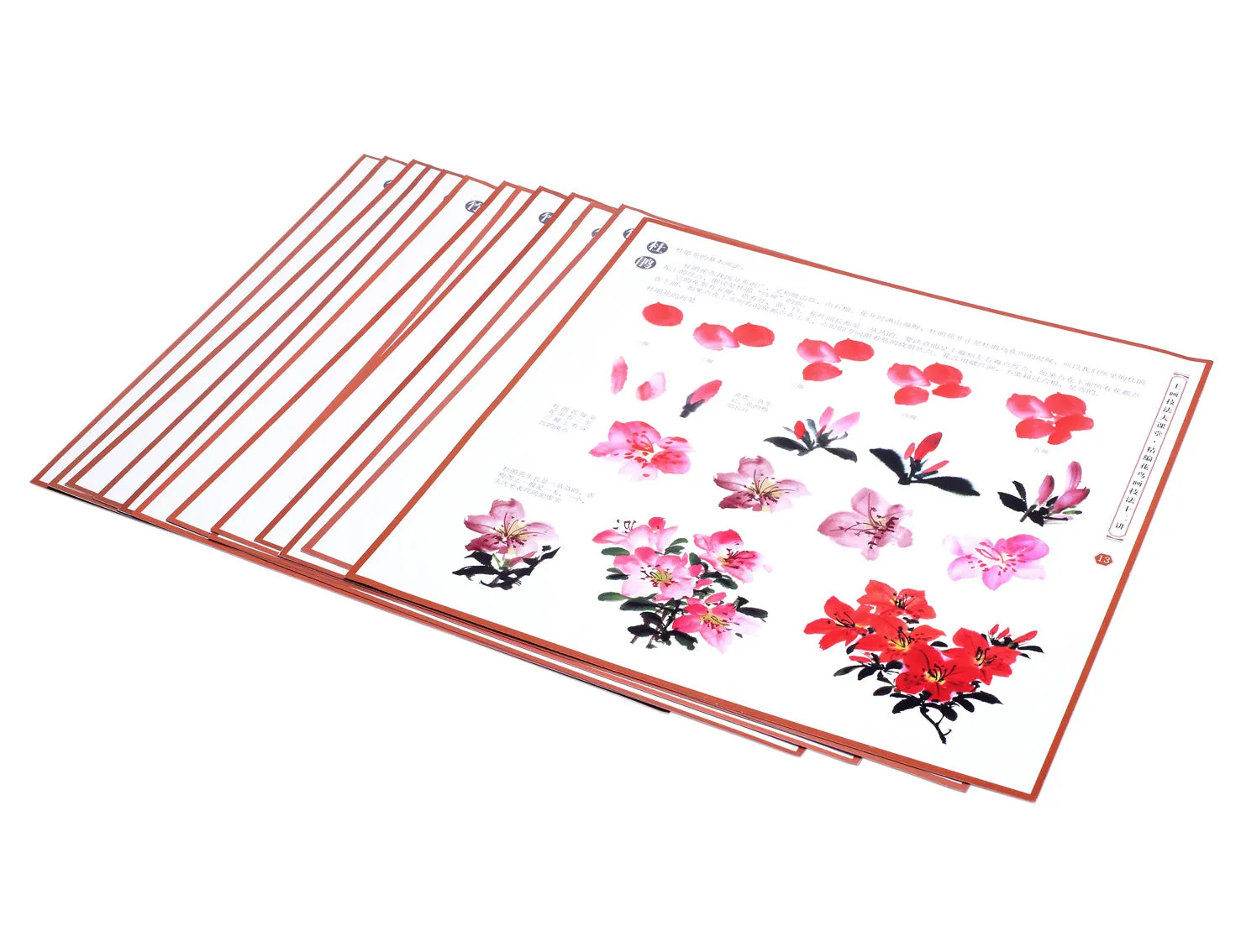 May's Painting Cards - Chinese Rose, Azalea Painting 6/12