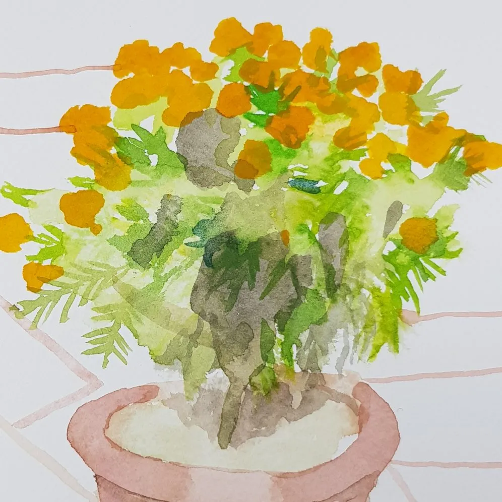 ORIGINAL WATERCOLOUR OF POTS OF FLOWERS, DELHI - BY ANDREW LOGAN 2019