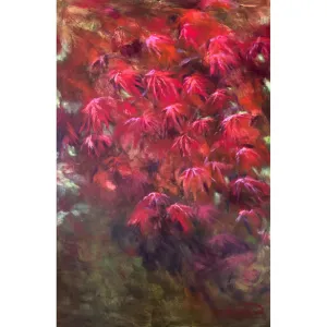 Ruby Acer by Claire Thorogood