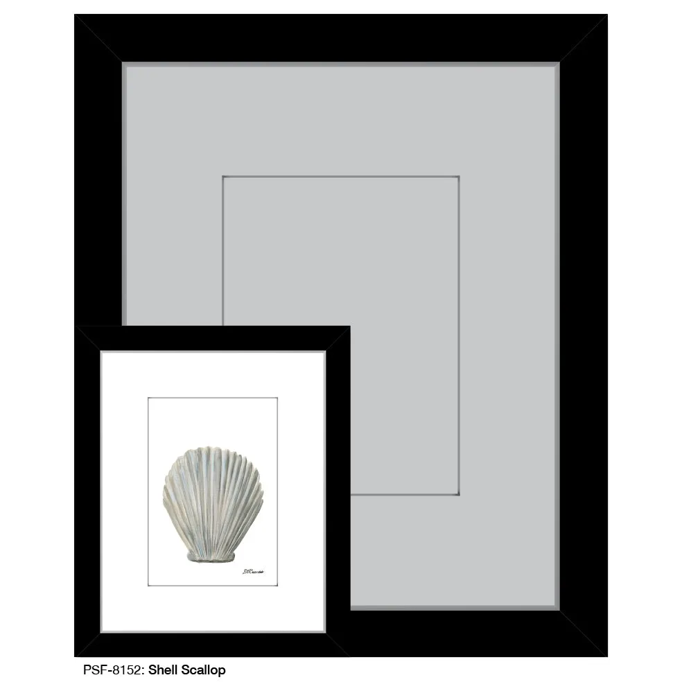 Shell Scallop, Print (#8152)