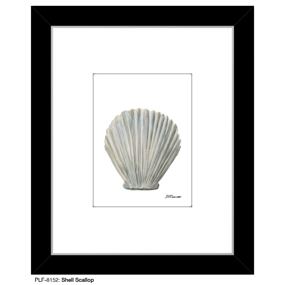 Shell Scallop, Print (#8152)