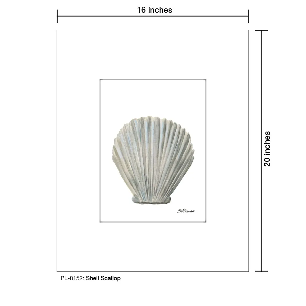 Shell Scallop, Print (#8152)