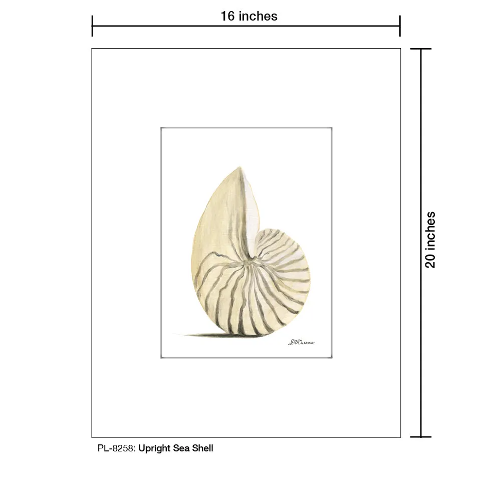 Upright Sea Shell, Print (#8258)