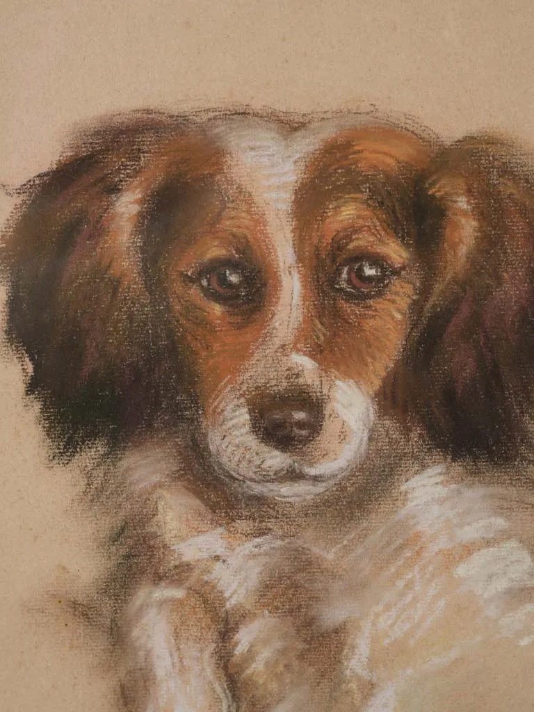 Vintage portrait of a spaniel - pastel on paper 17¼" x 13½"