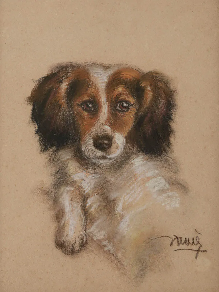 Vintage portrait of a spaniel - pastel on paper 17¼" x 13½"